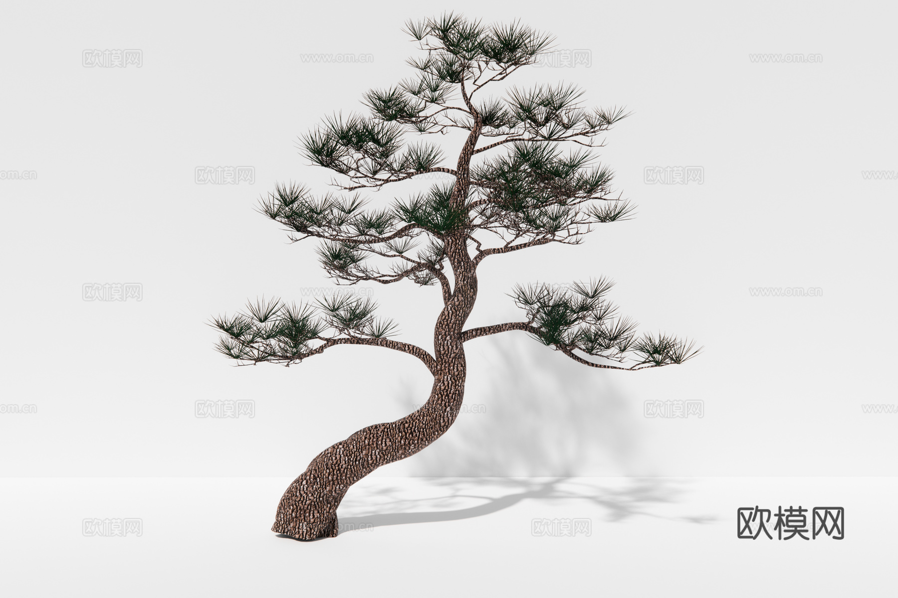 现代植物松树su模型下载