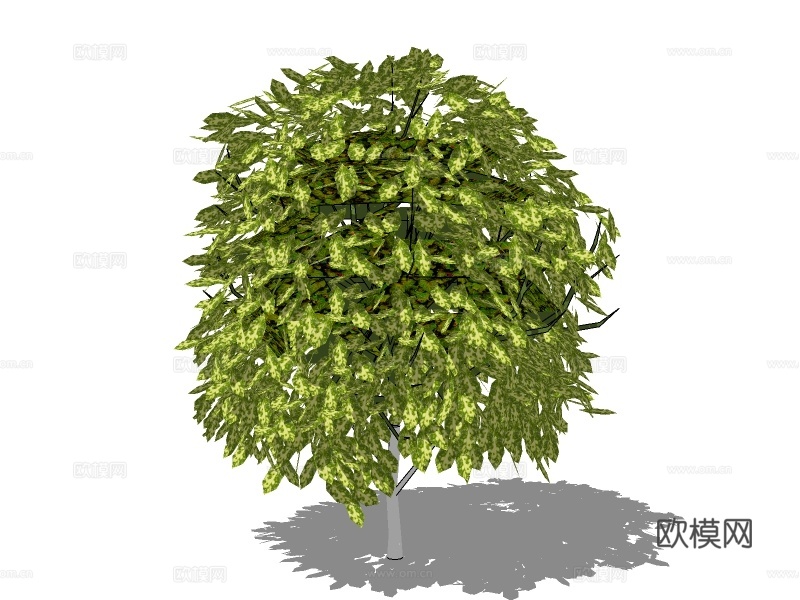 现代绿植灌木su模型下载