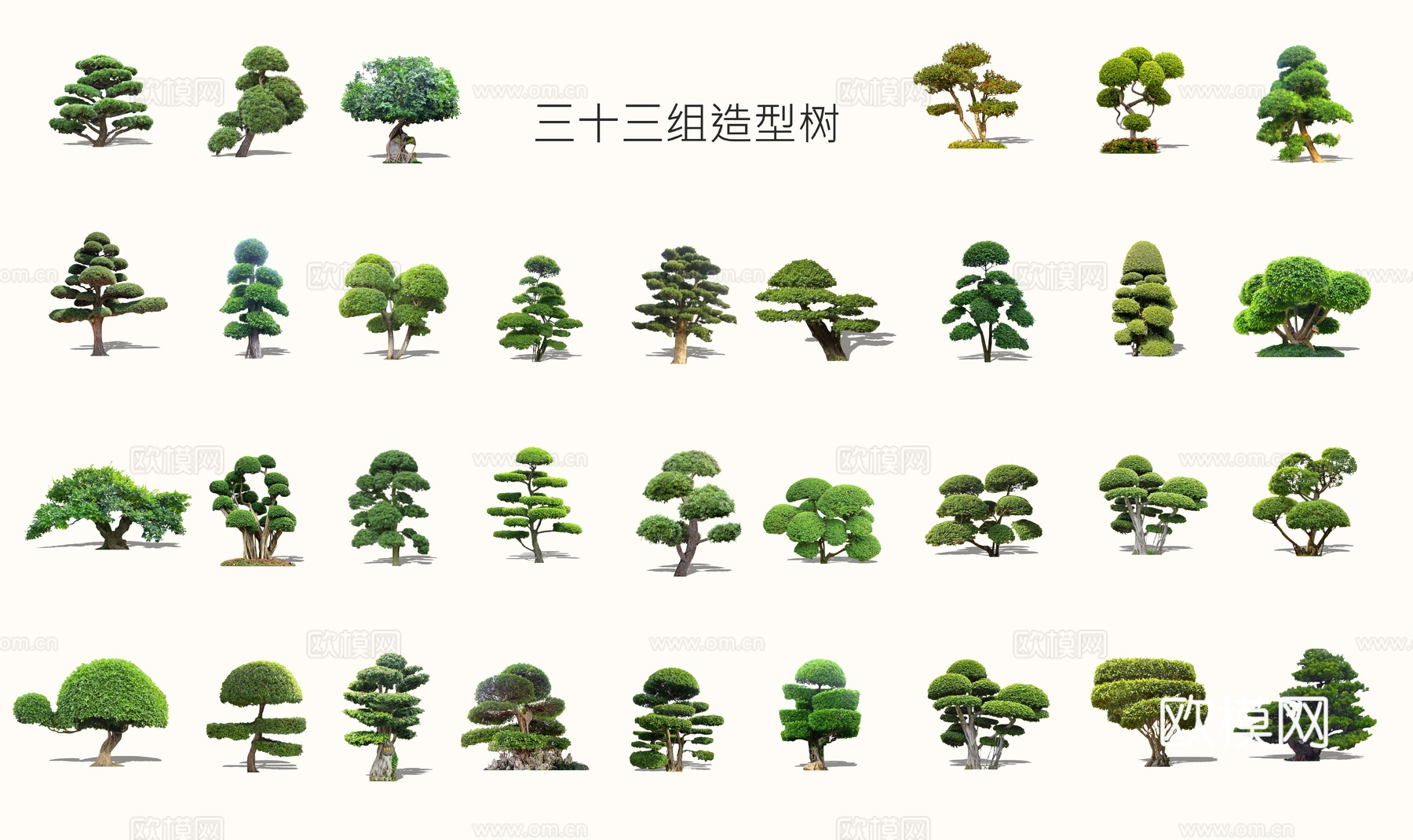 新中式景观树松树su模型下载