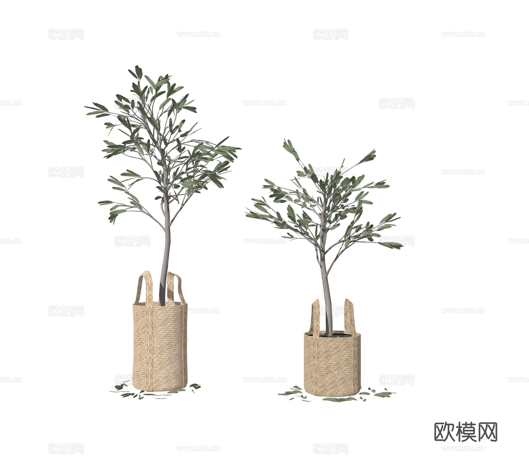 现代绿植树盆栽su模型下载