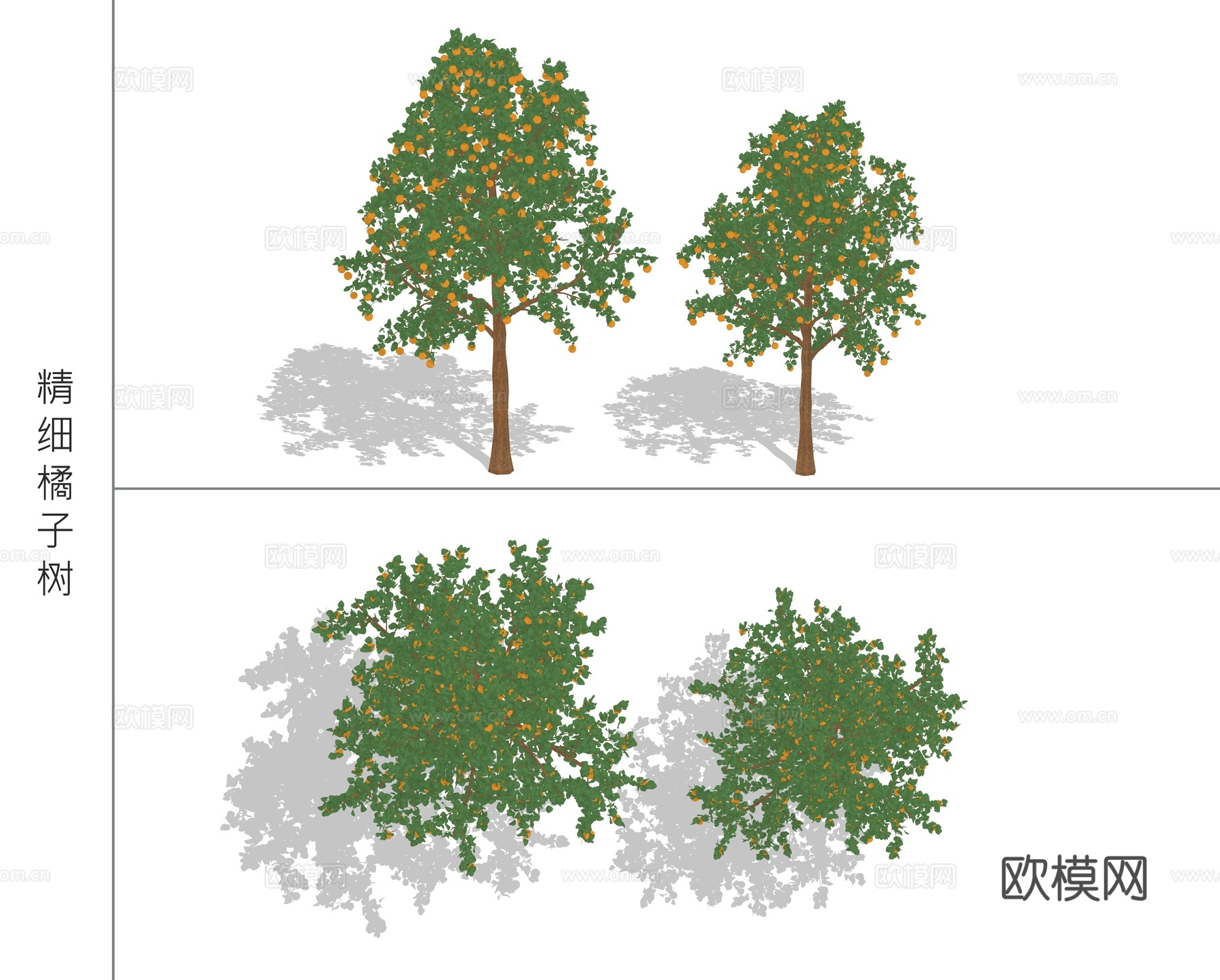 现代橘子树景观树su模型下载