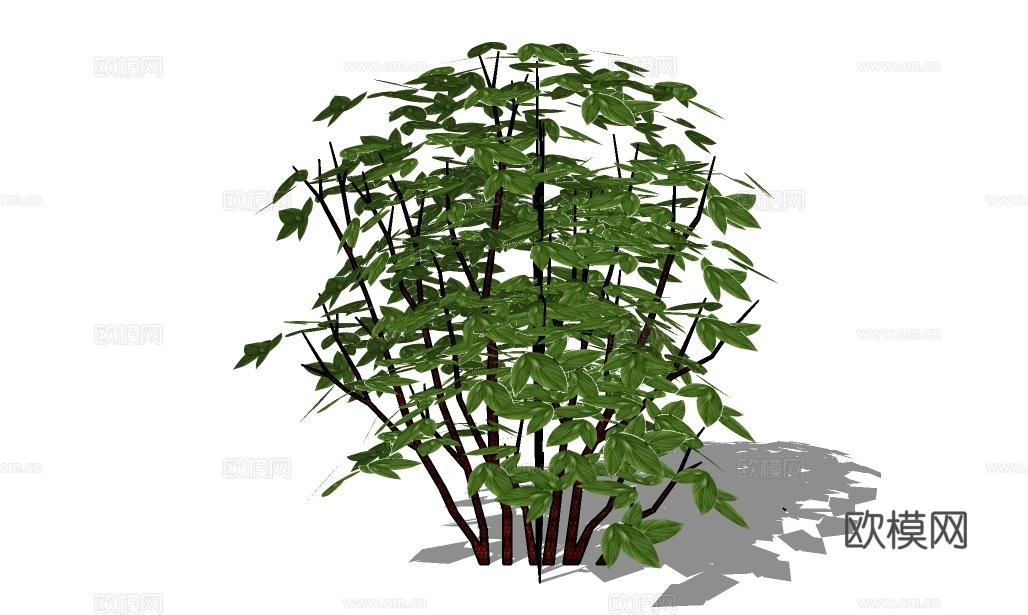 现代绿植灌木su模型下载
