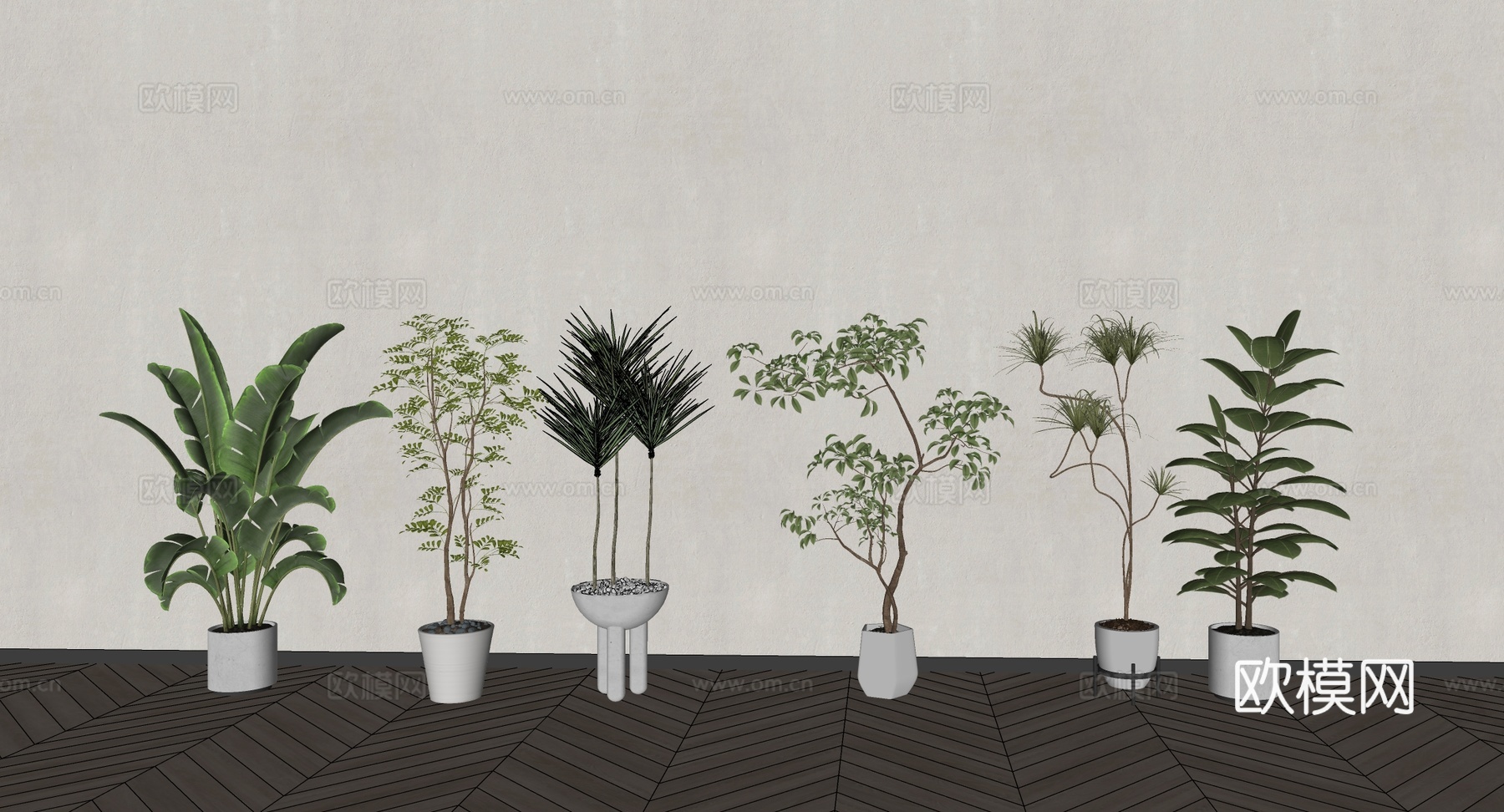 室内盆栽 室内盆栽绿植su模型