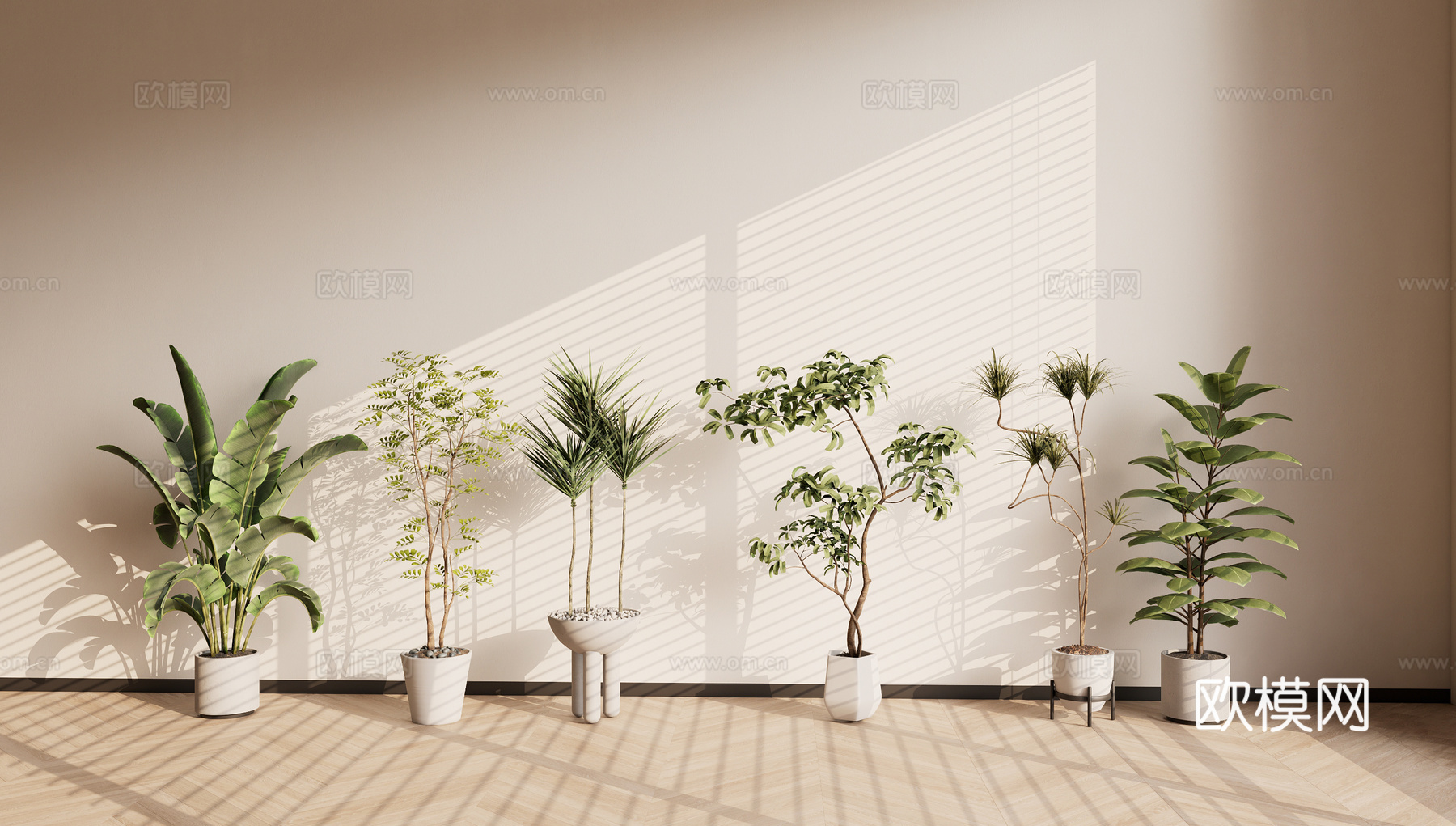 室内盆栽 室内盆栽绿植su模型