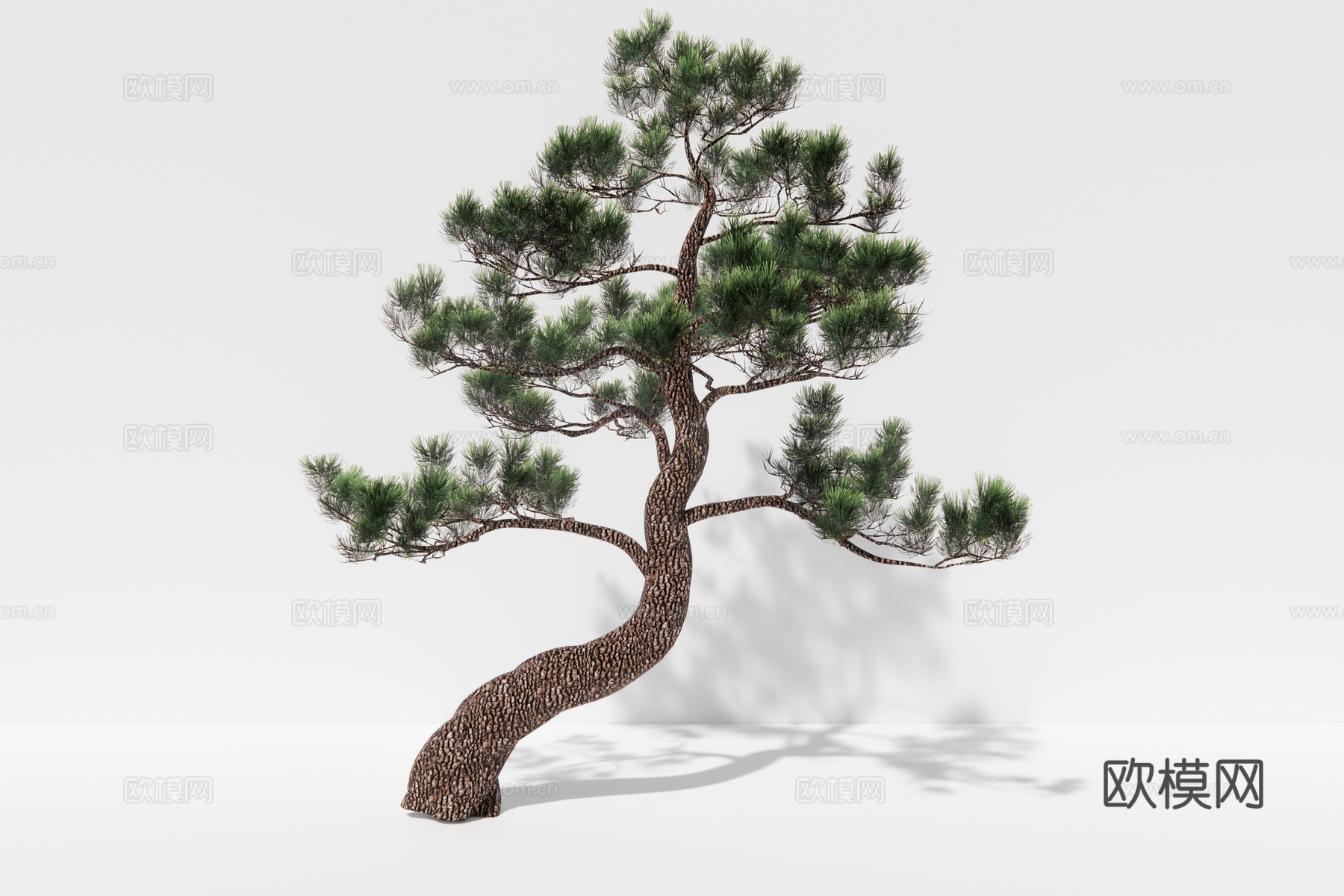 现代植物松树su模型下载