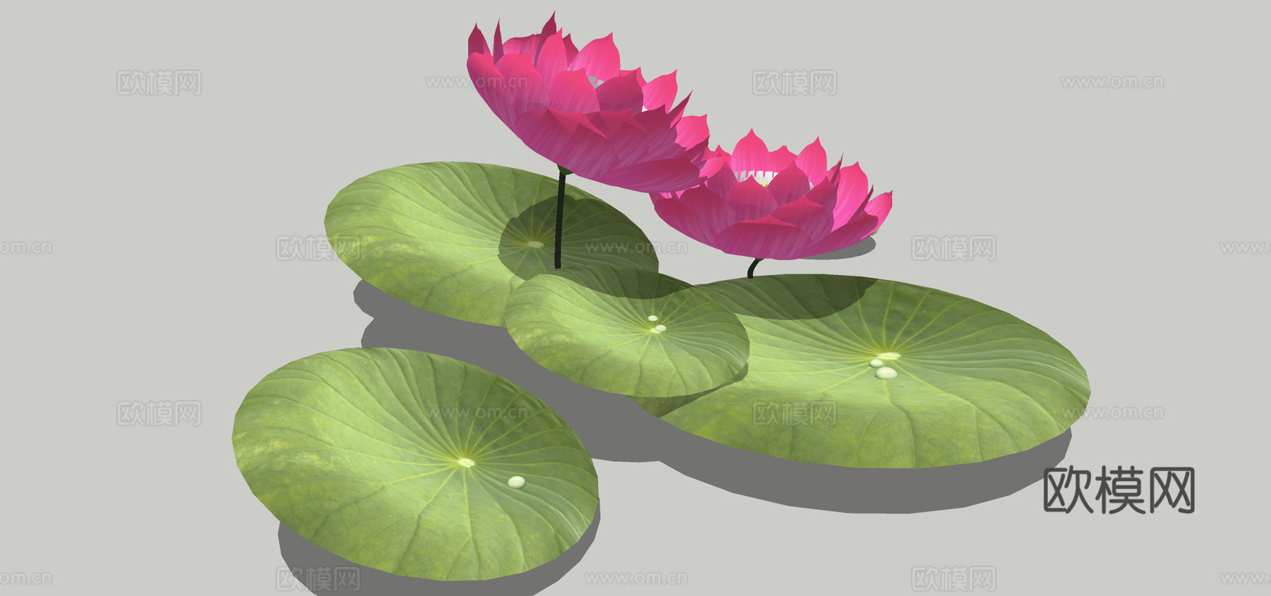 现代荷花su模型下载