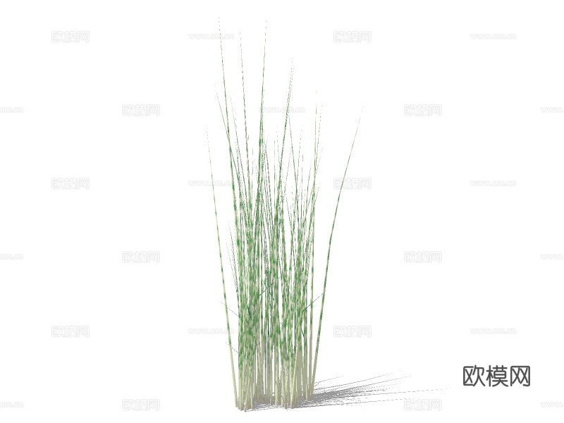现代绿植花草su模型下载