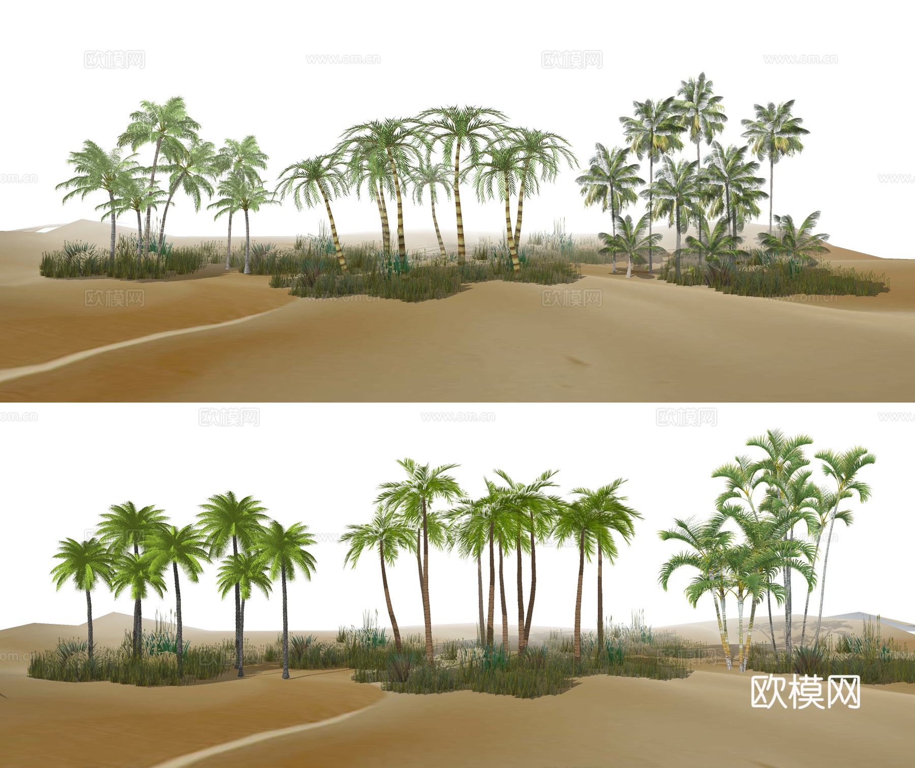 现代棕榈树热带植物su模型下载