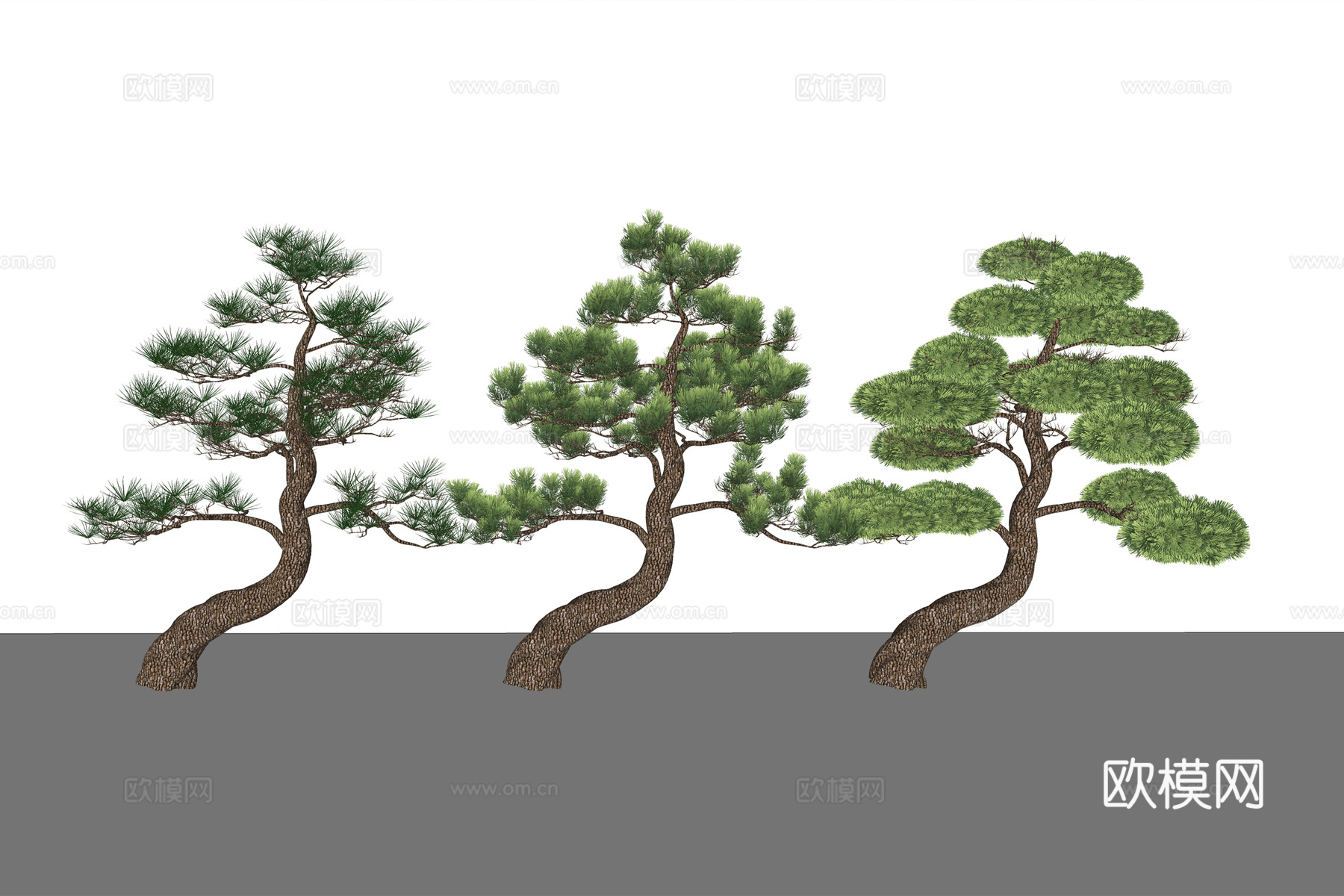 现代植物松树su模型下载