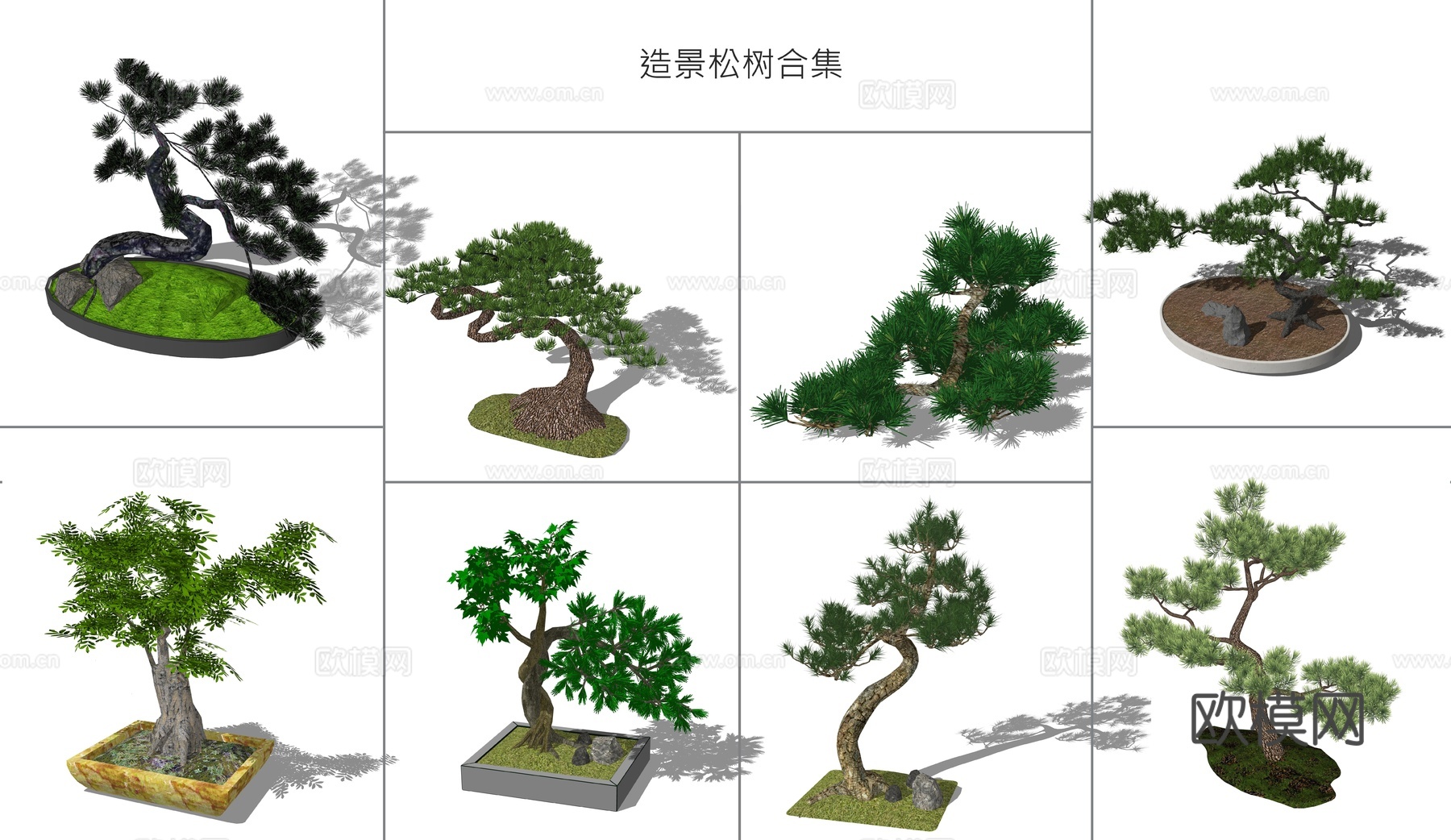 现代景观树松树su模型下载