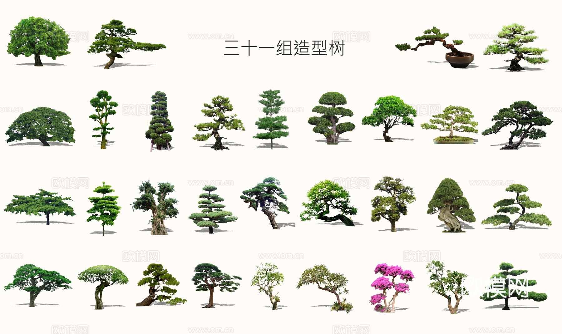 新中式景观树松树su模型下载