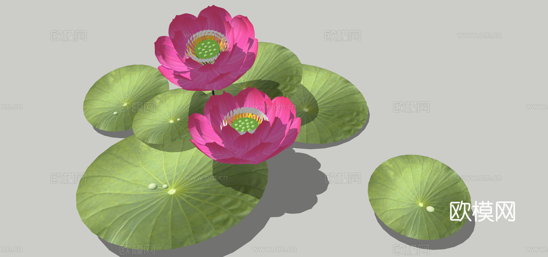 现代荷花su模型下载