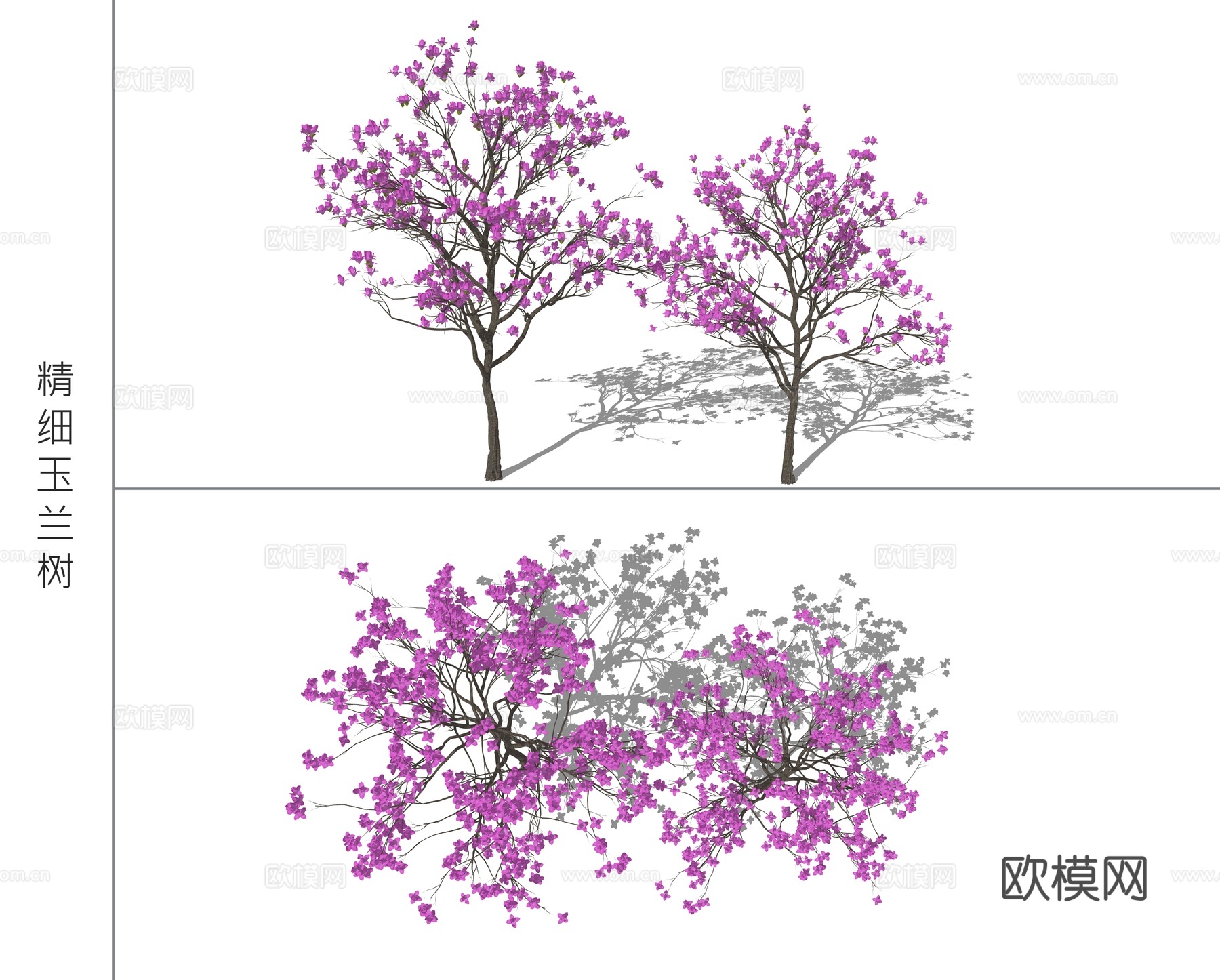 现代景观树玉兰树su模型下载