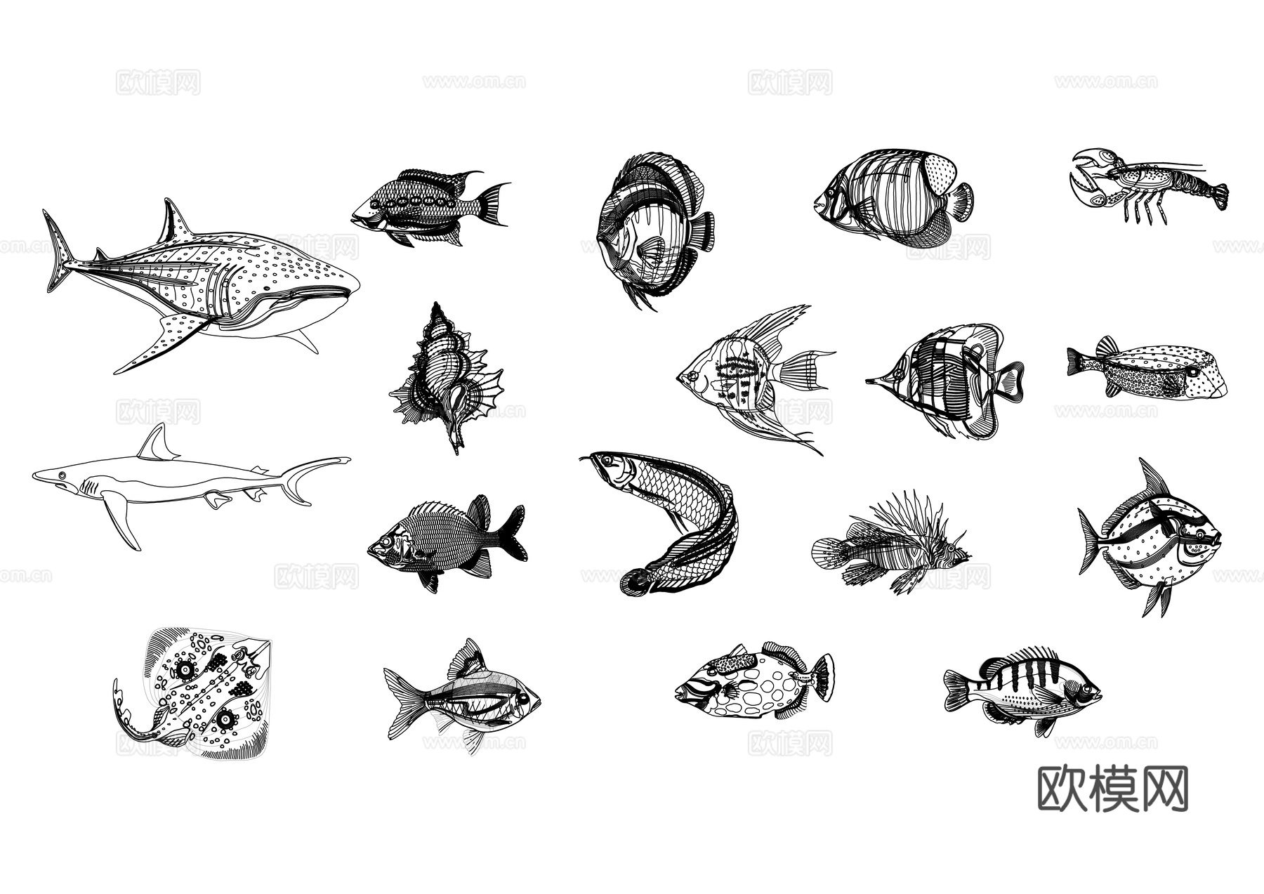 各种海鱼 多种海洋鱼类 海鱼种类系列 不同类型的海水鱼 各款cad施工图