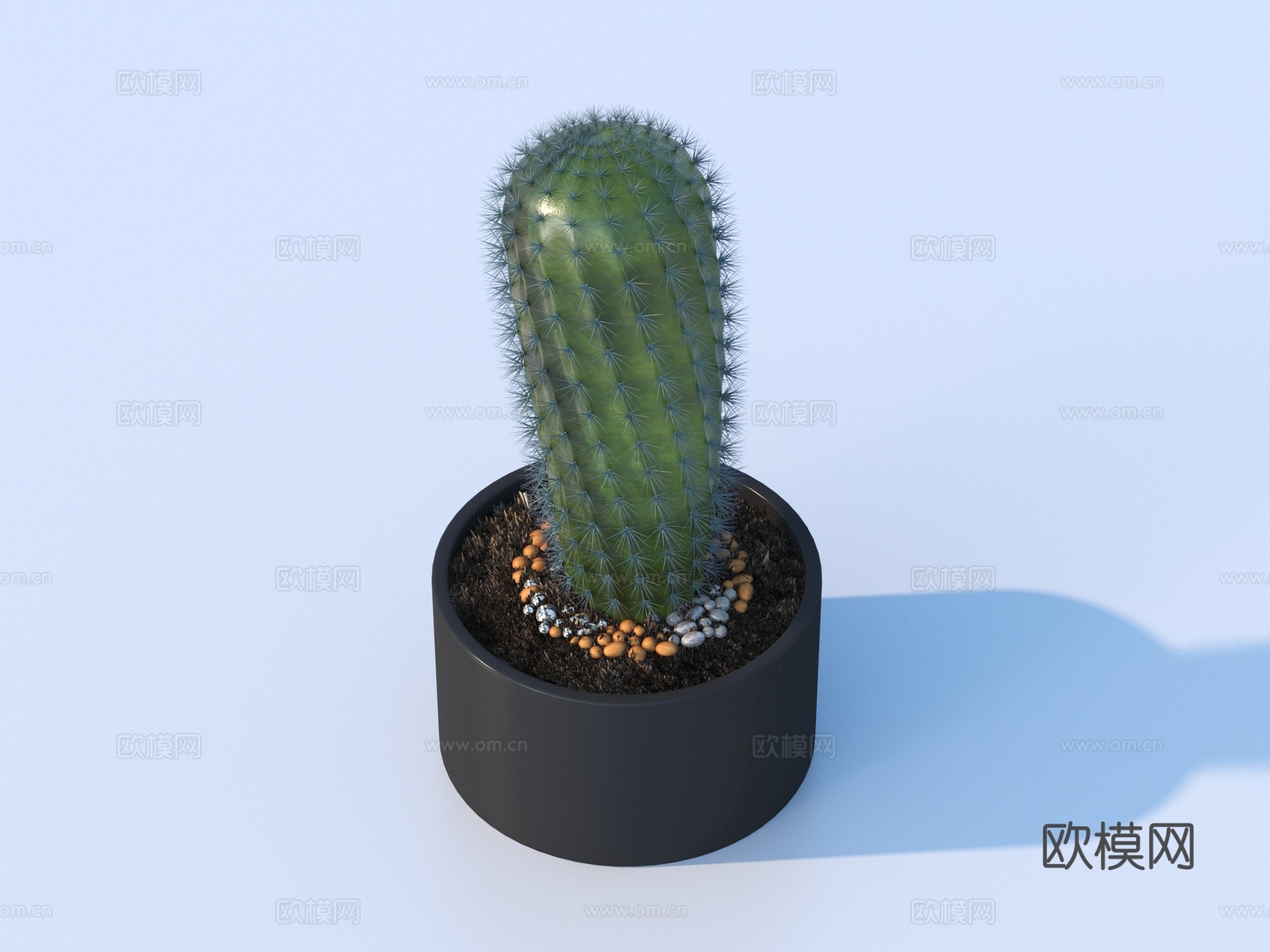 花盆 盆栽 绿植 植物3d模型