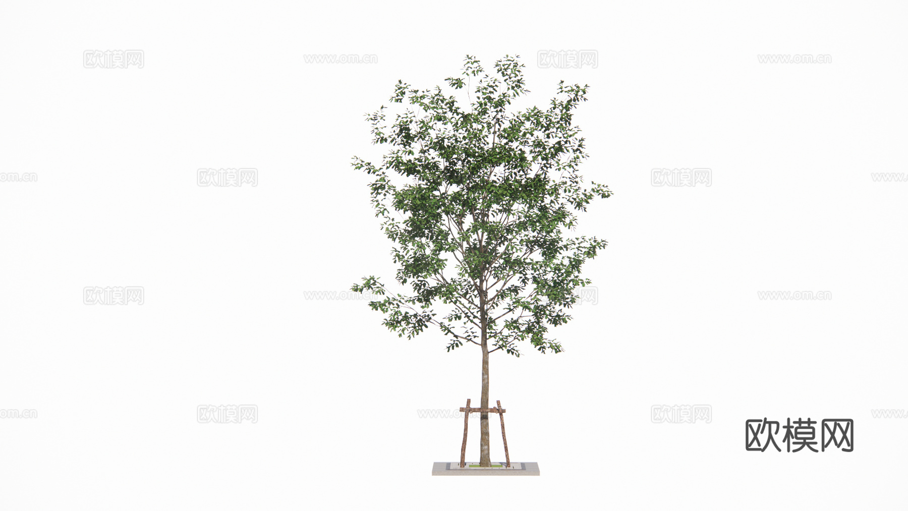 现代景观树su模型下载