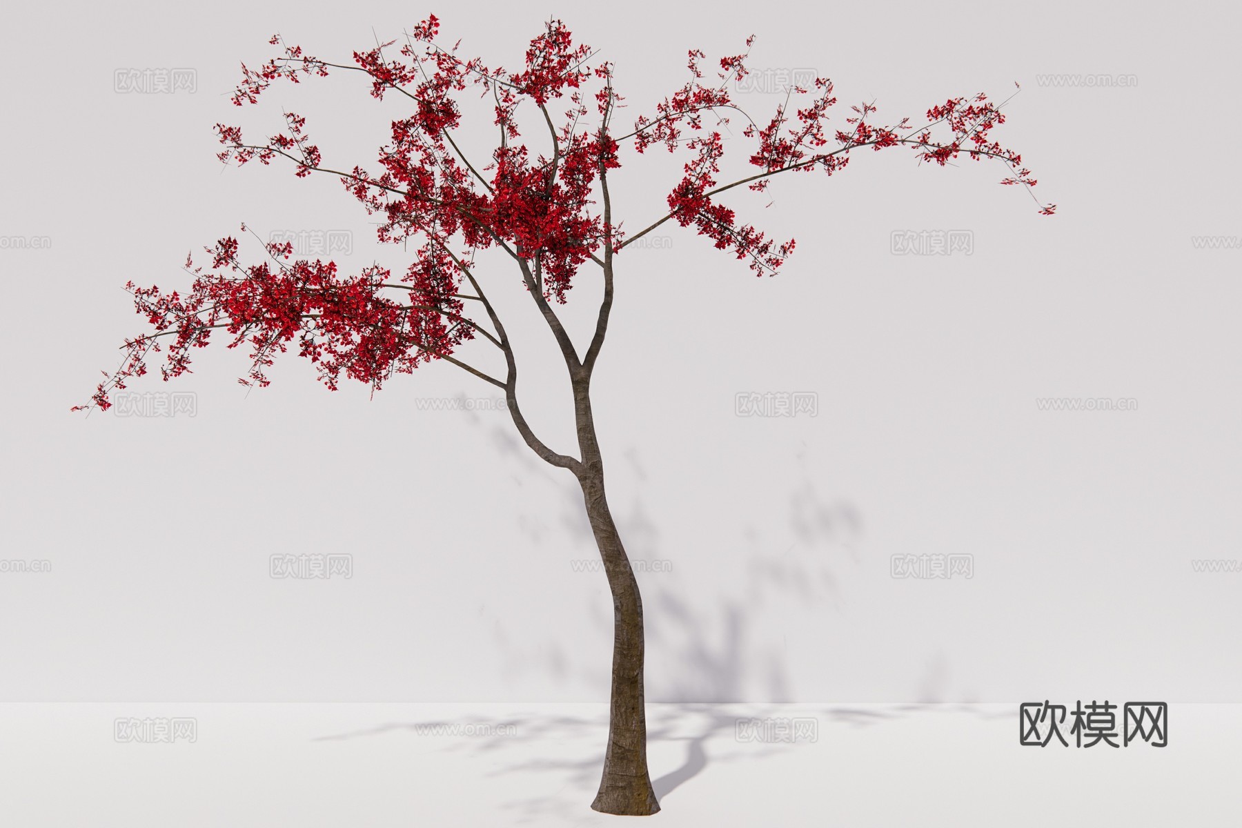 现代植物乔木su模型下载