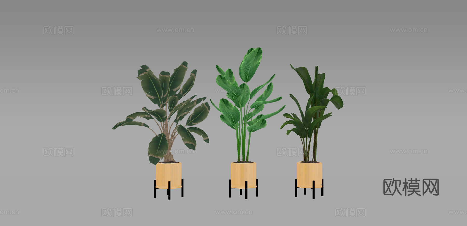 现代绿植盆栽su模型下载