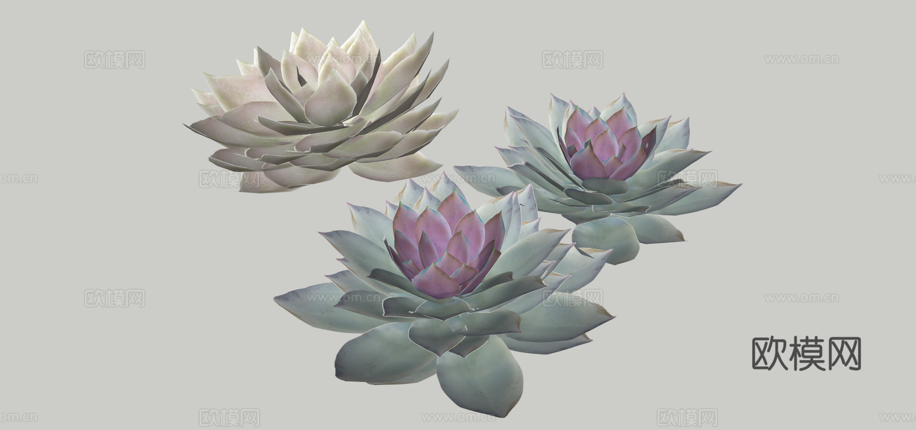 现代莲花荷花su模型下载