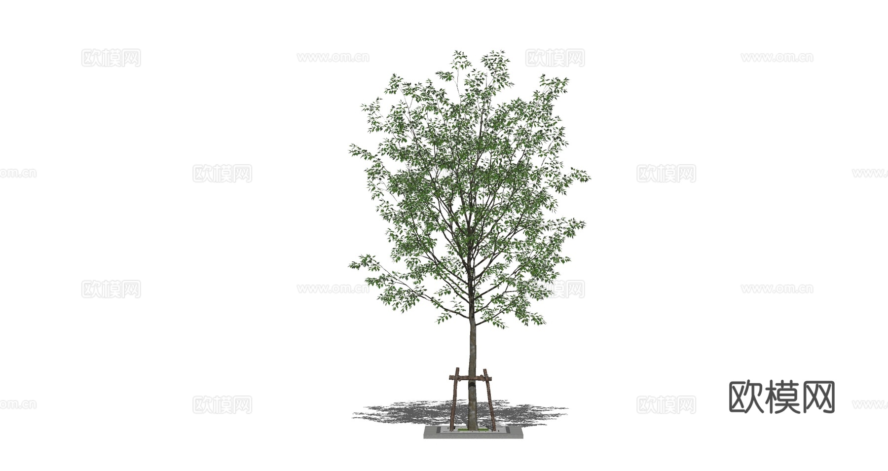 现代景观树su模型下载