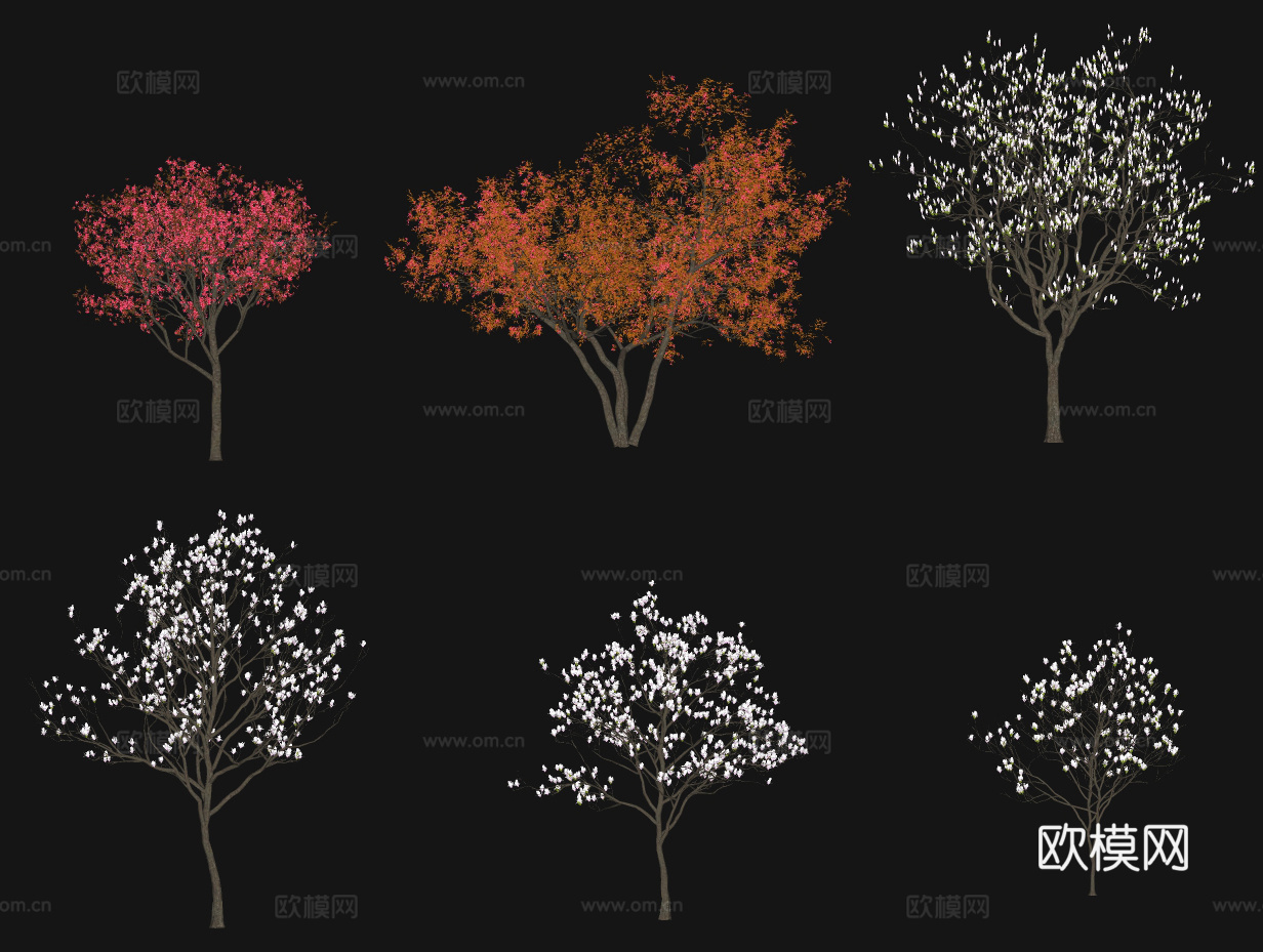 现代花树景观树su模型下载