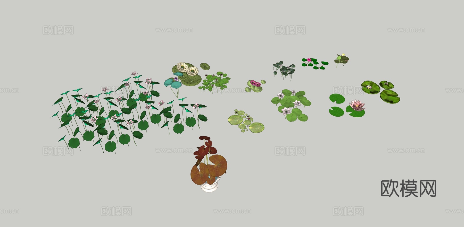 现代睡莲荷花su模型