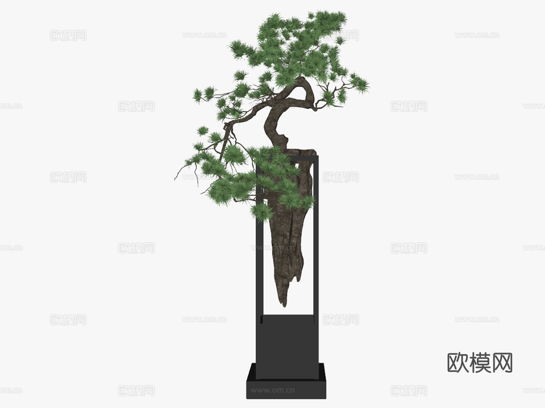 新中式松树盆景盆栽su模型下载