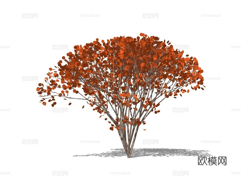 现代绿植灌木su模型下载