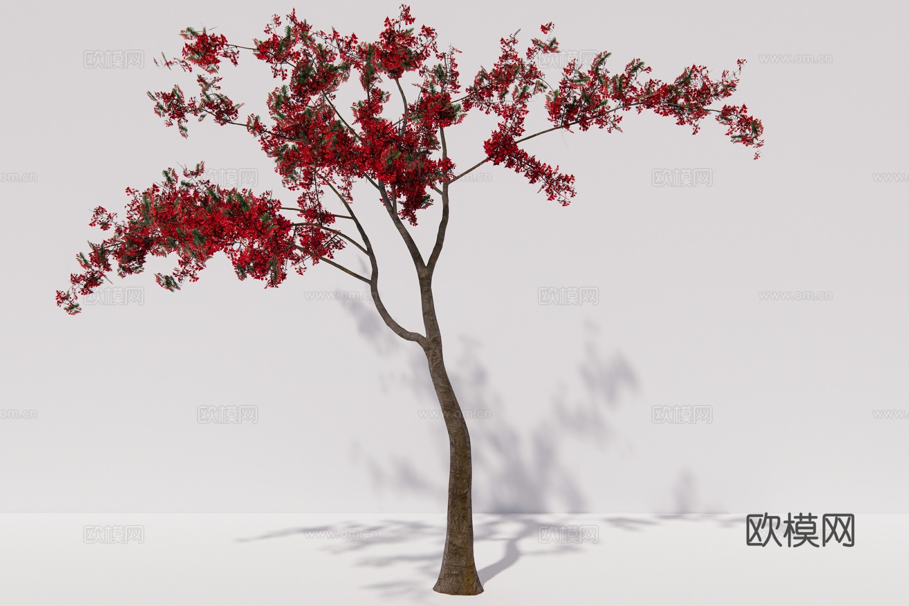 现代植物乔木su模型下载