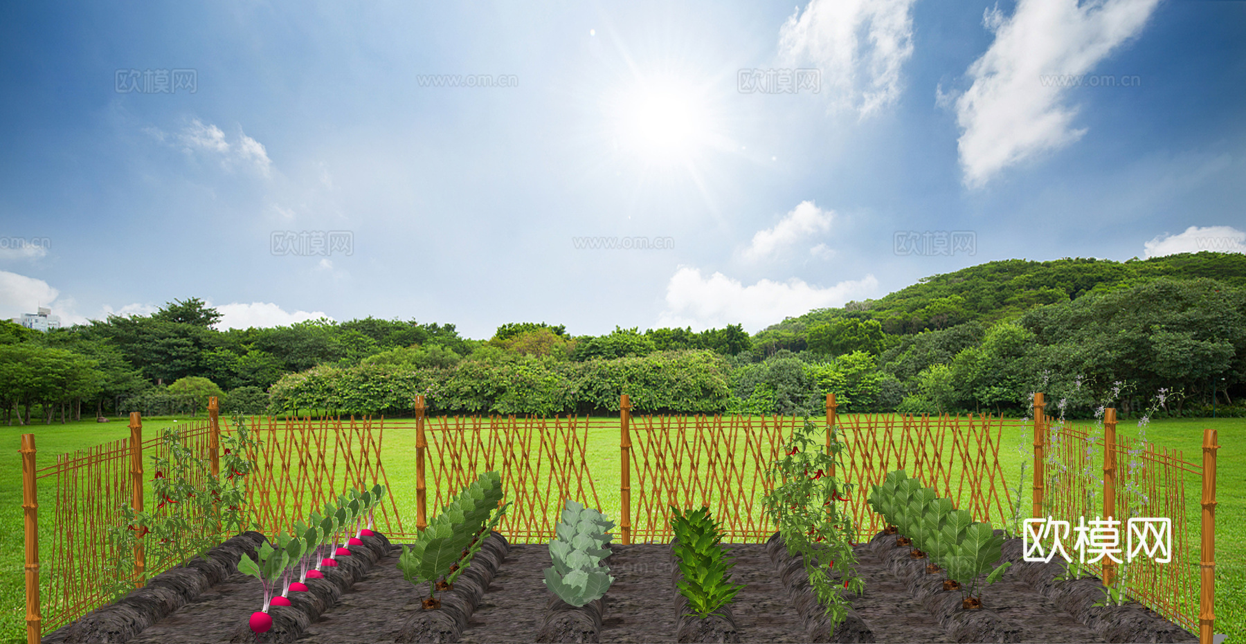 现代蔬菜园菜地su模型下载