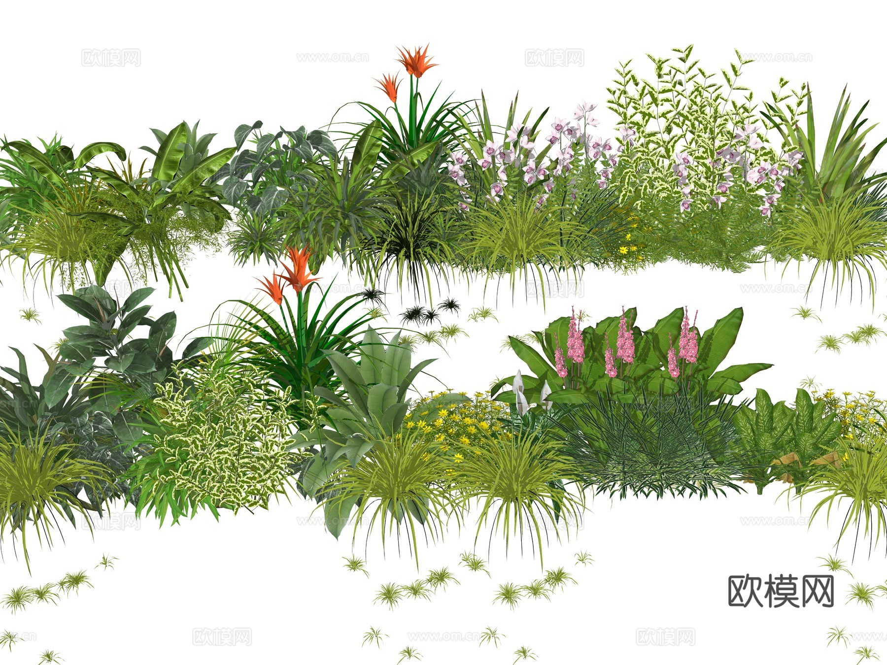 现代小院庭院公园景观花草  室内植物造景植物堆 植物组合su模型