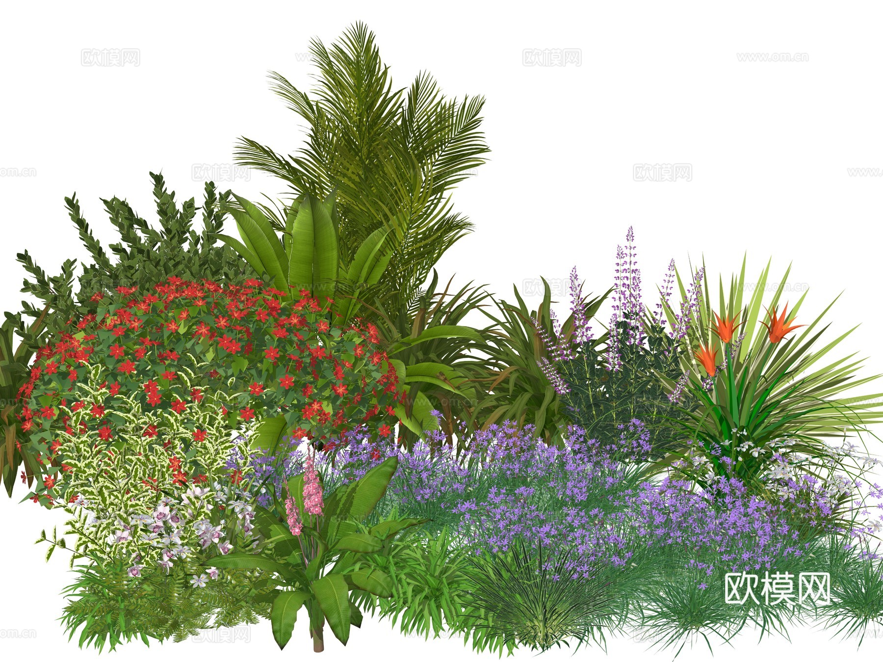 现代庭院植物花草 草花植物 小院景观植物堆su模型