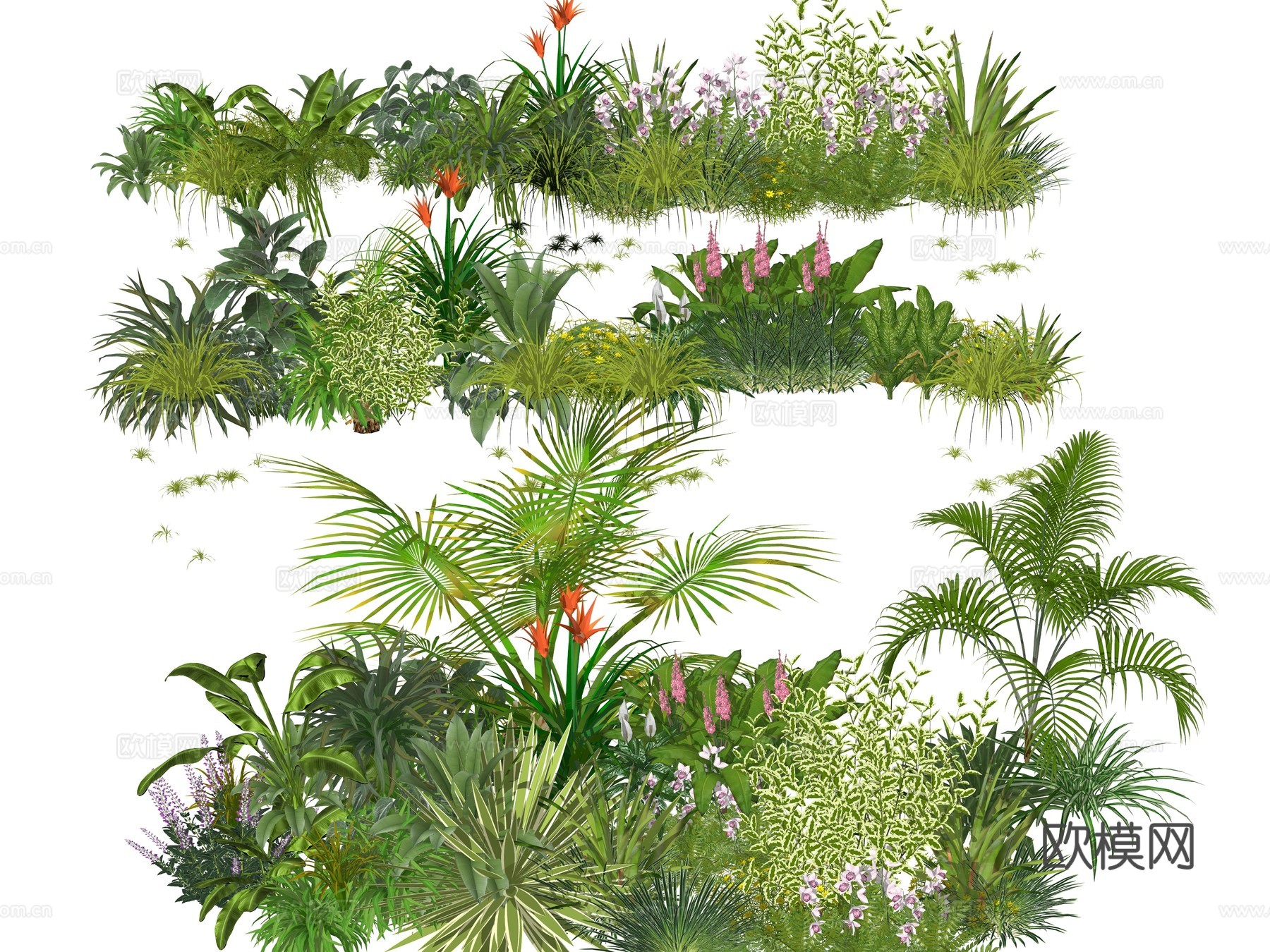 庭院植物花草地被植物 草花植物 公园景观植物堆su模型