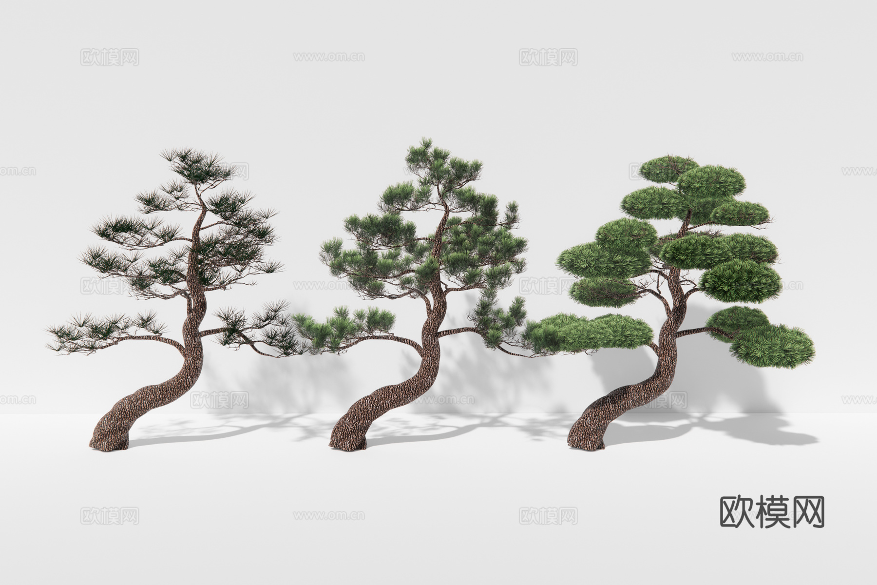 现代植物松树su模型下载