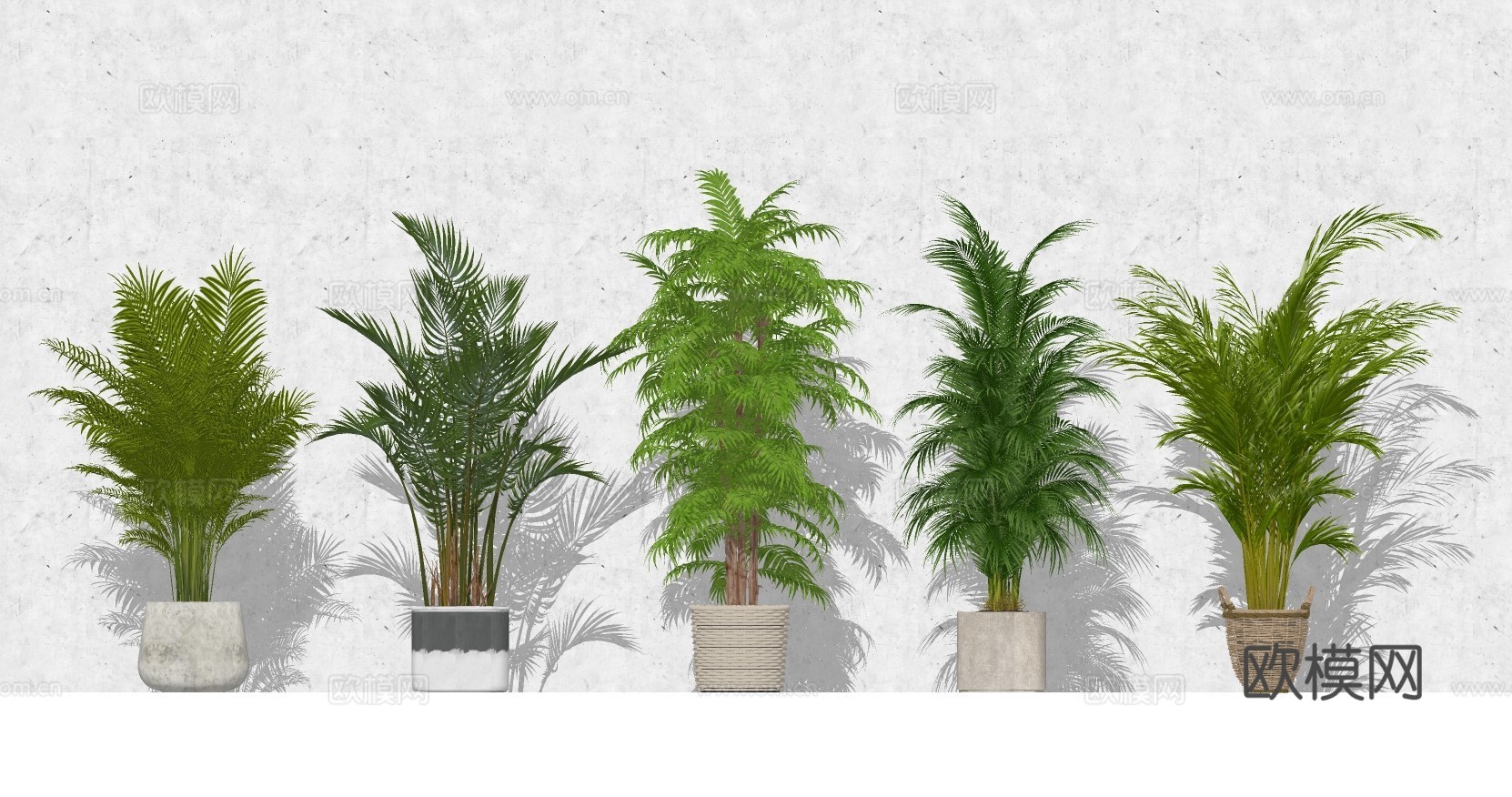 现代室内植物盆栽su模型下载
