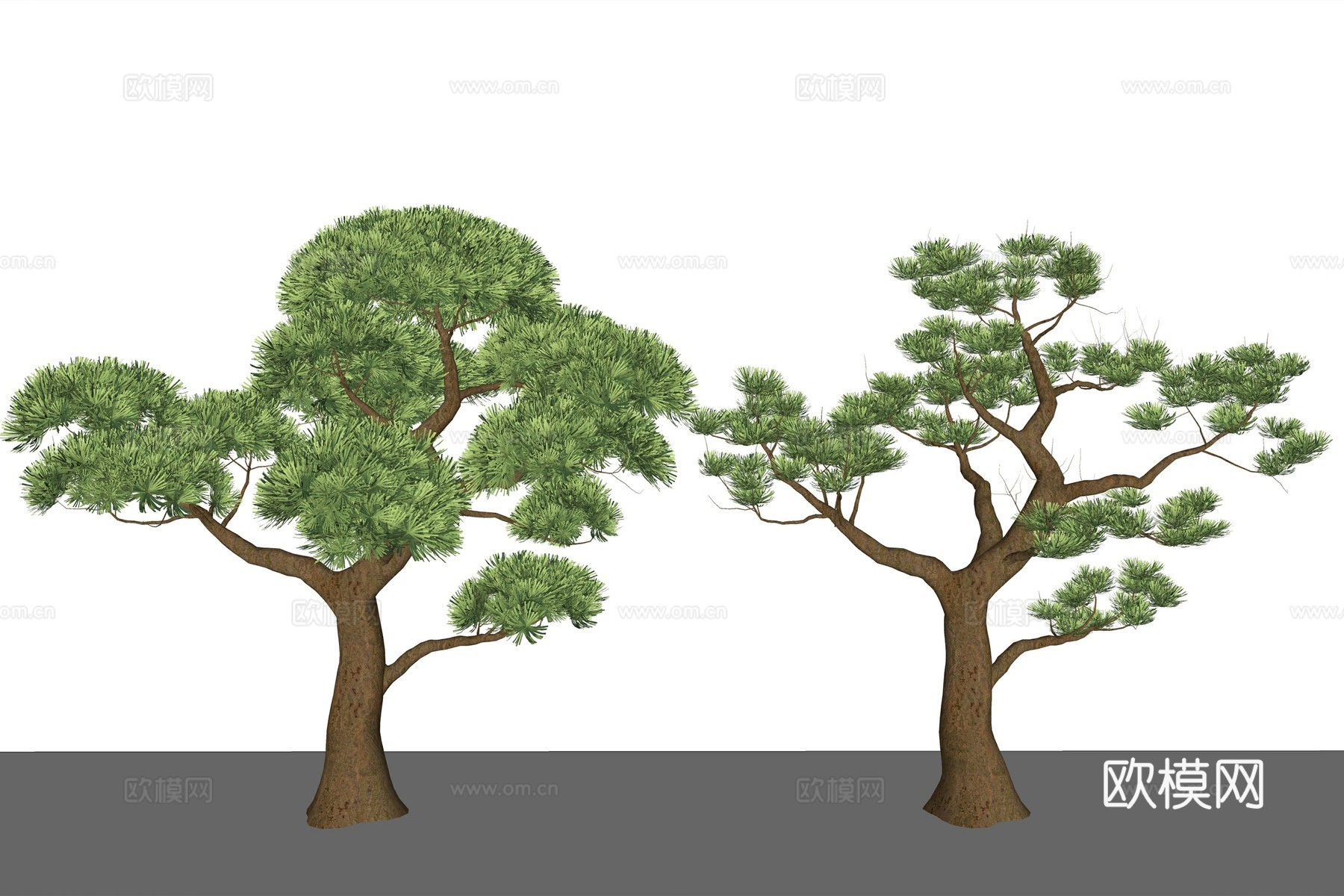 新中式罗汉松景观树su模型下载