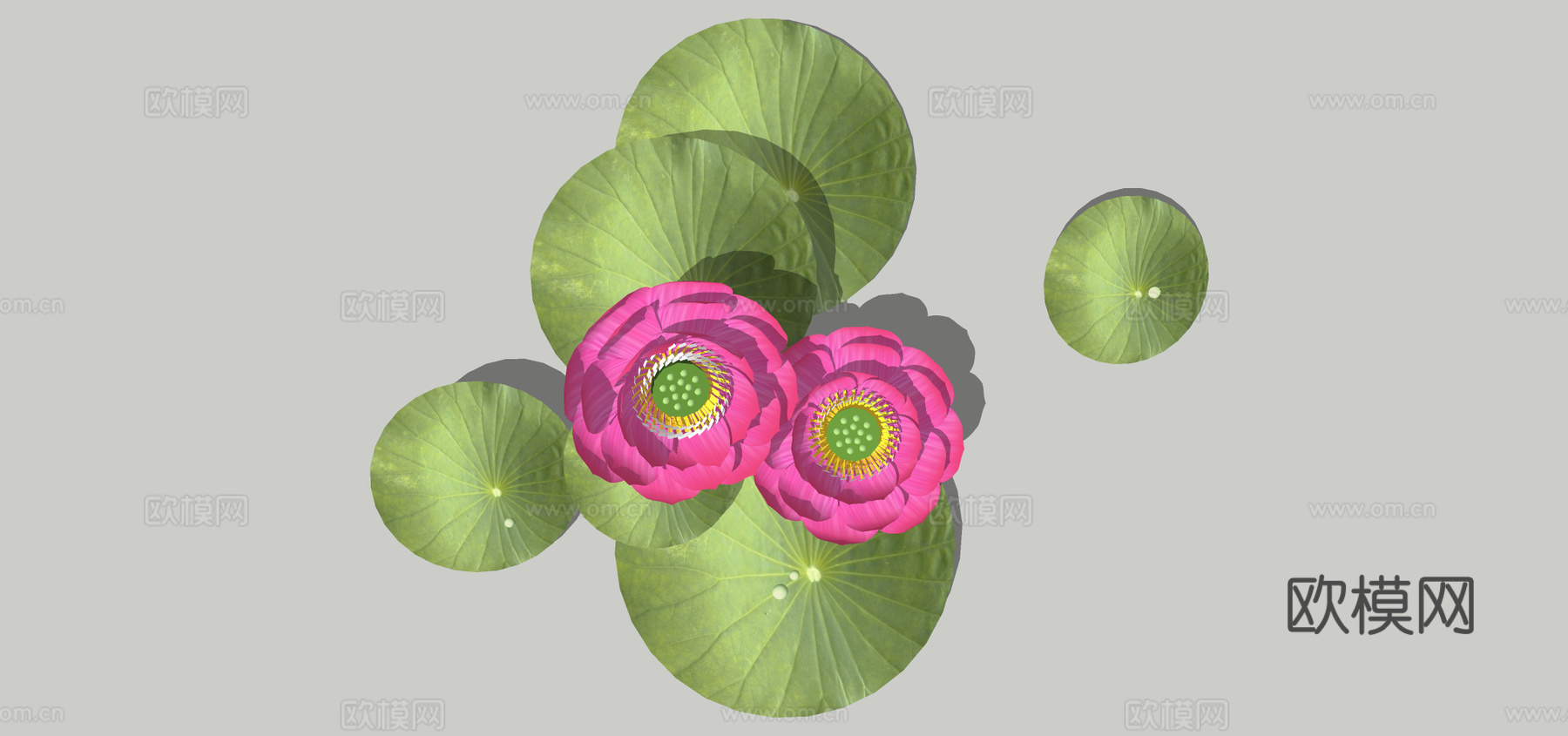 现代荷花su模型下载
