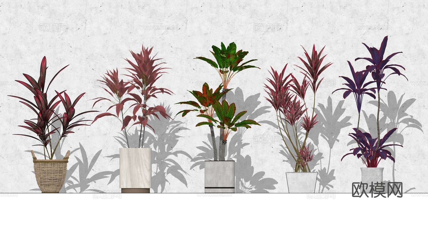 现代植物盆栽su模型下载