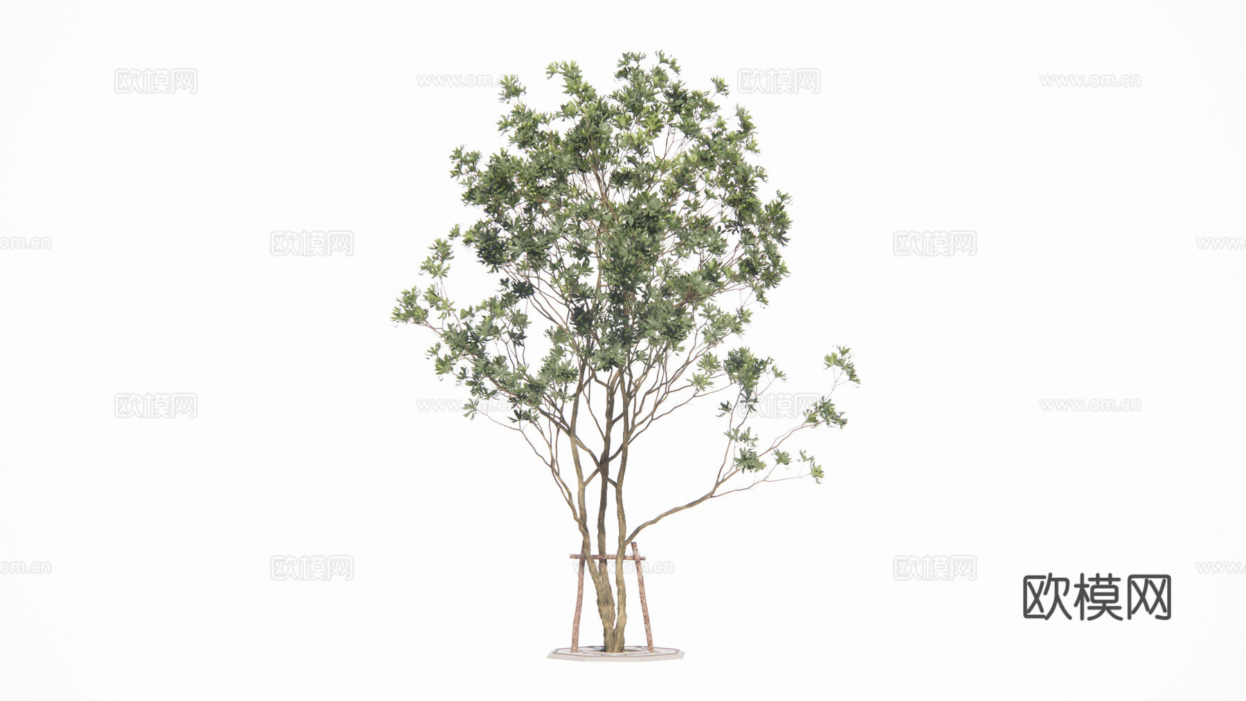 现代景观树su模型下载