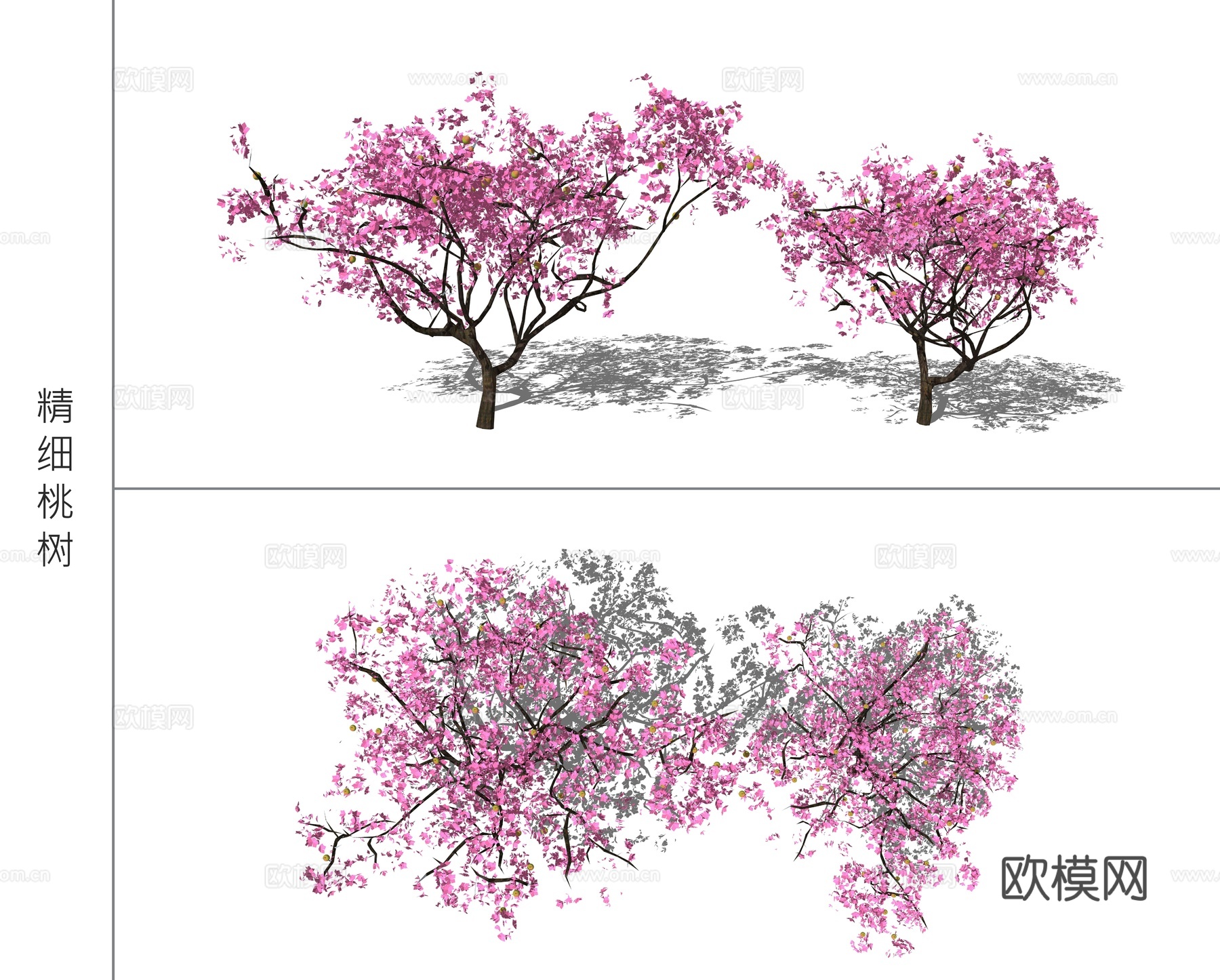 现代桃树景观树su模型下载