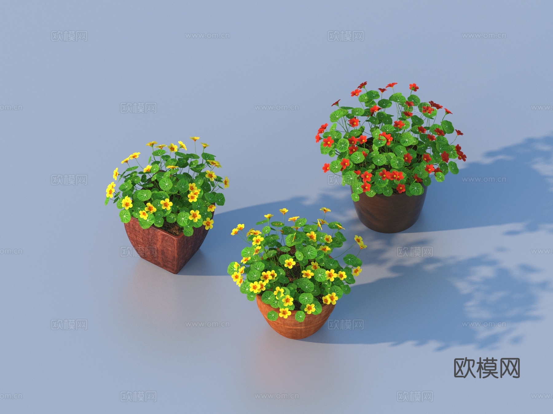 花盆 盆栽 绿植 植物3d模型