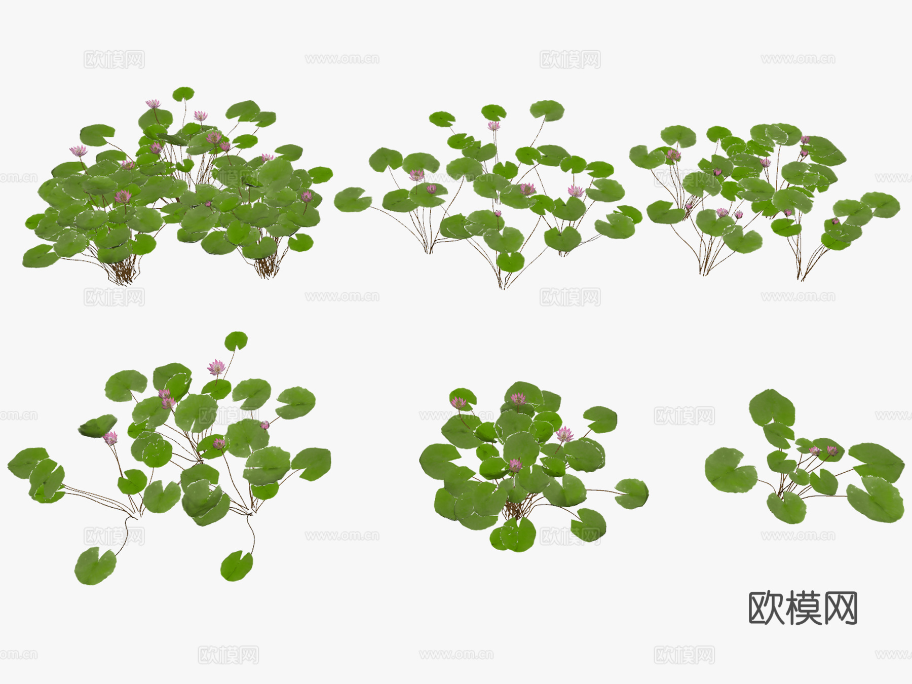 现代水生植物睡莲su模型下载