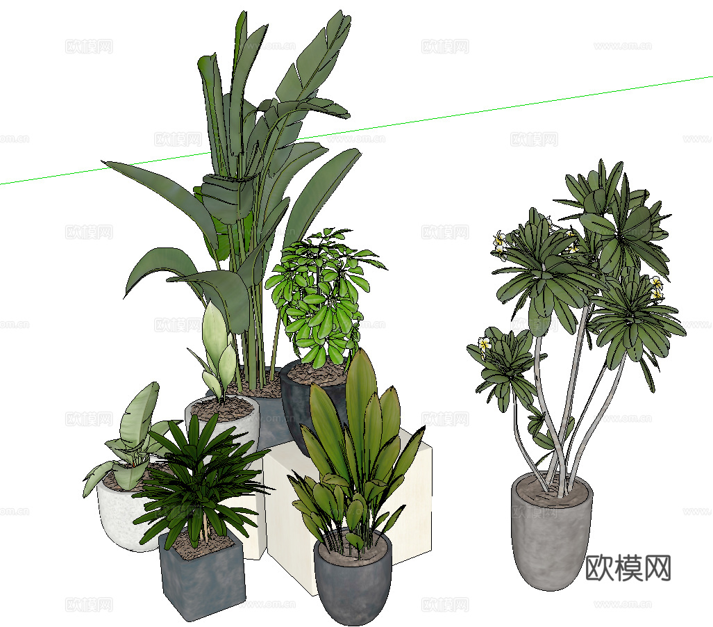 现代植物盆栽su模型下载