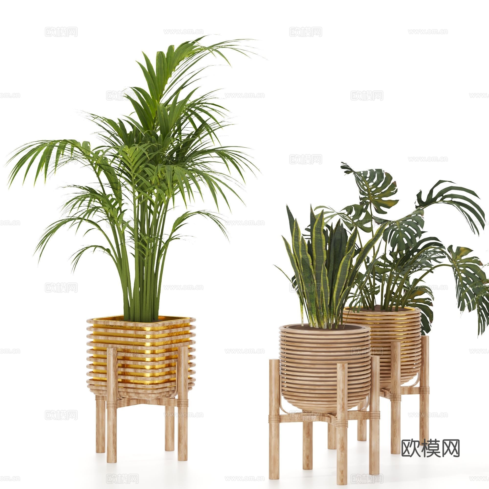 现代北欧原木风绿植盆栽3d模型