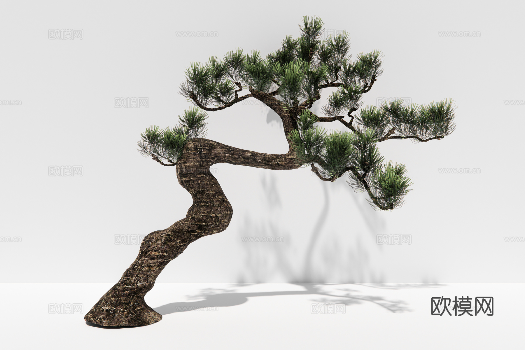 现代植物松树su模型下载