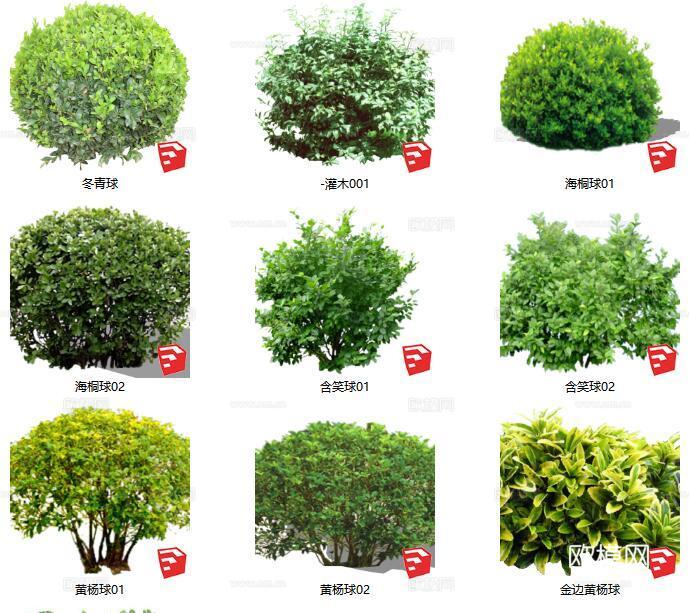 现代花草灌木su模型下载