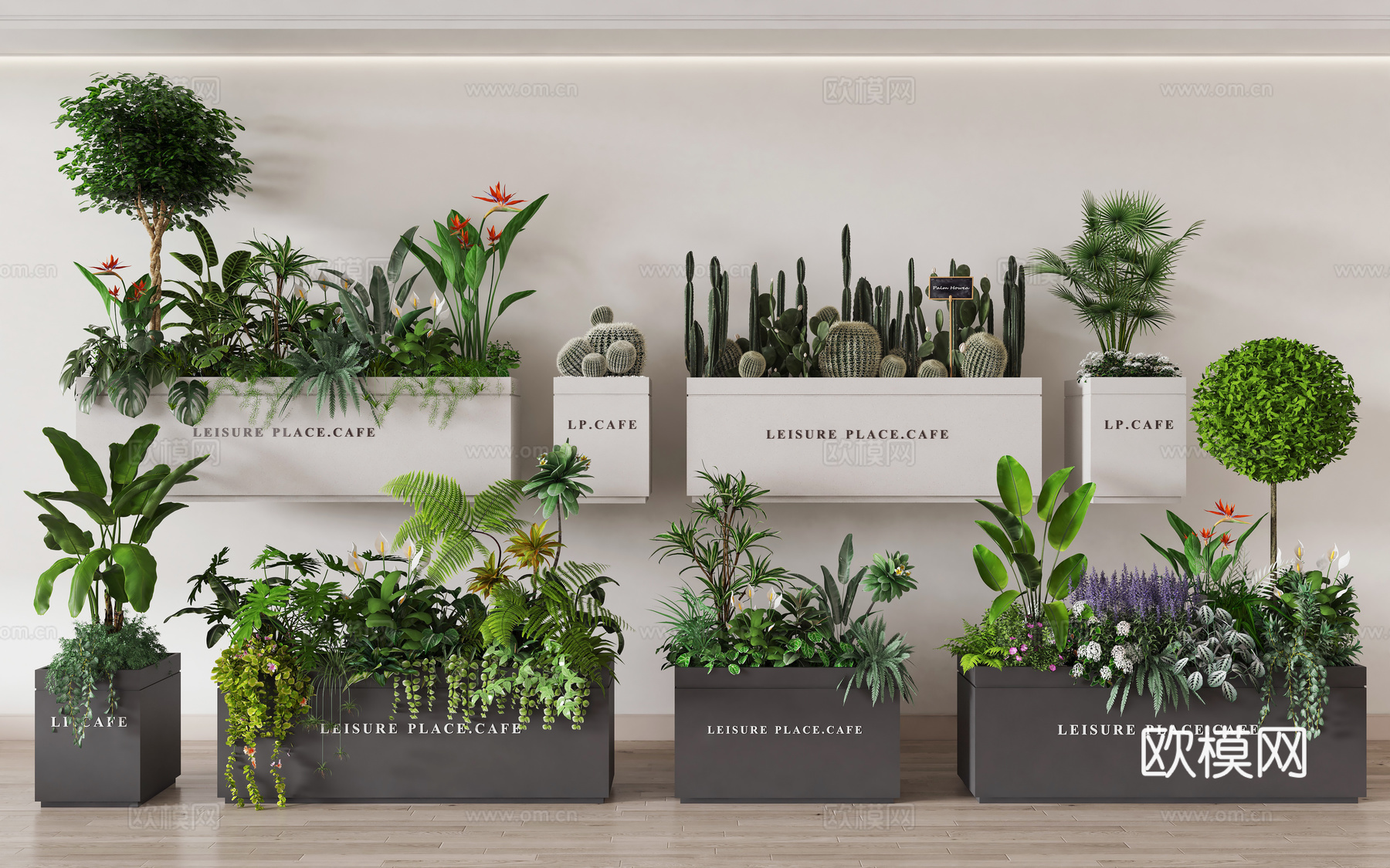 户外移动花箱花池 外摆绿植花箱 仙人掌仙人球 绿植盆栽植物组3d模型