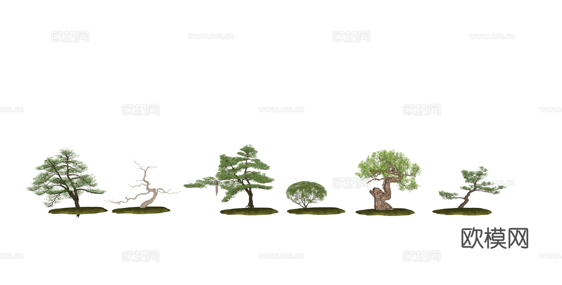 现代松树景观树su模型下载