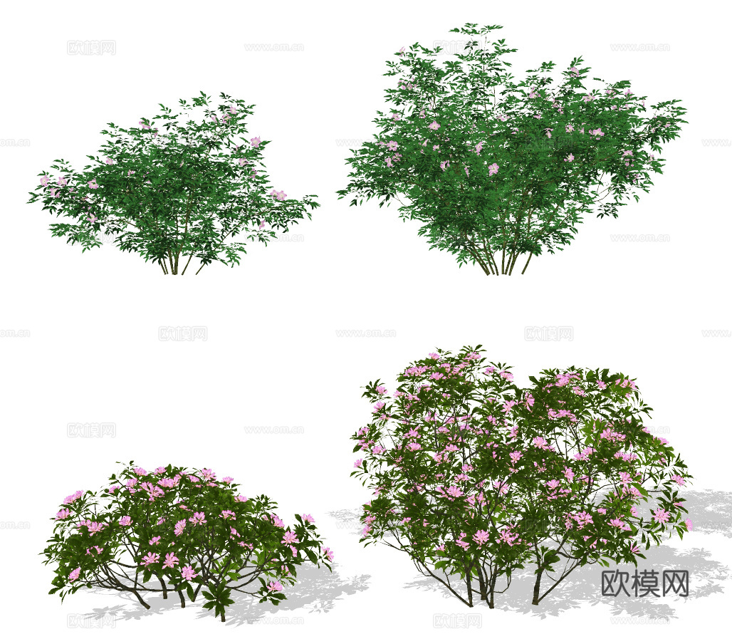 现代绿植灌木su模型下载