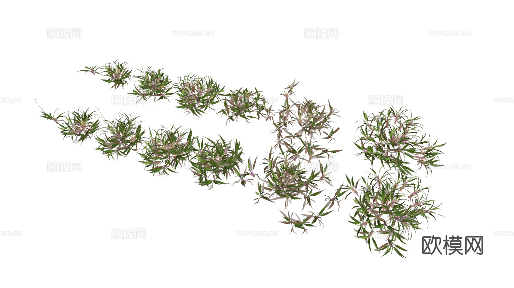 现代花草su模型模型下载
